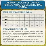Ver la foto 4