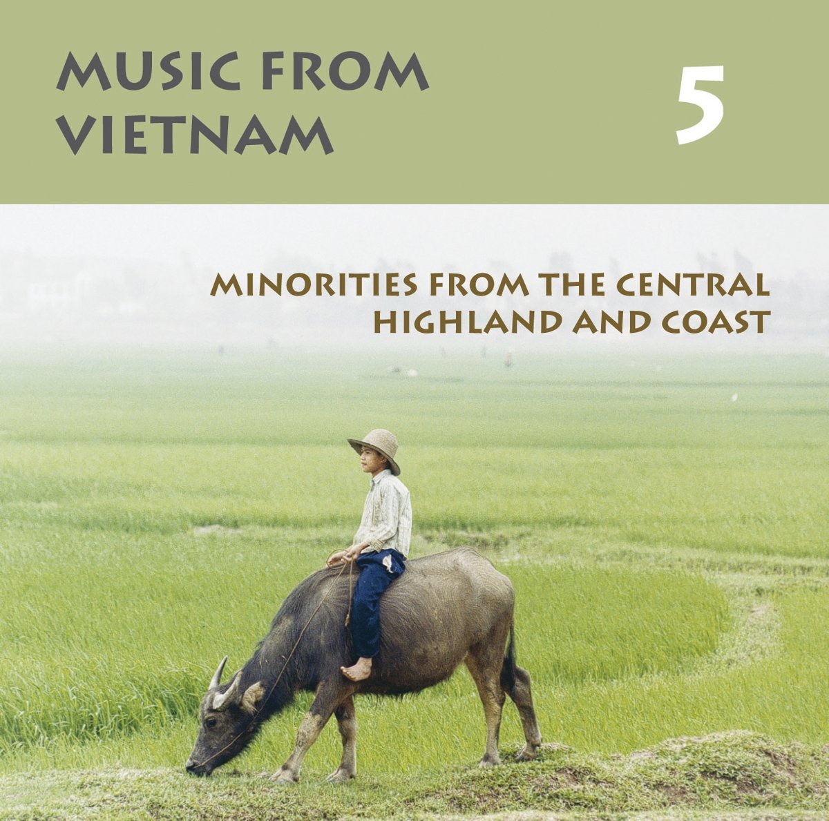 Music from Vietnam Vol. 5
