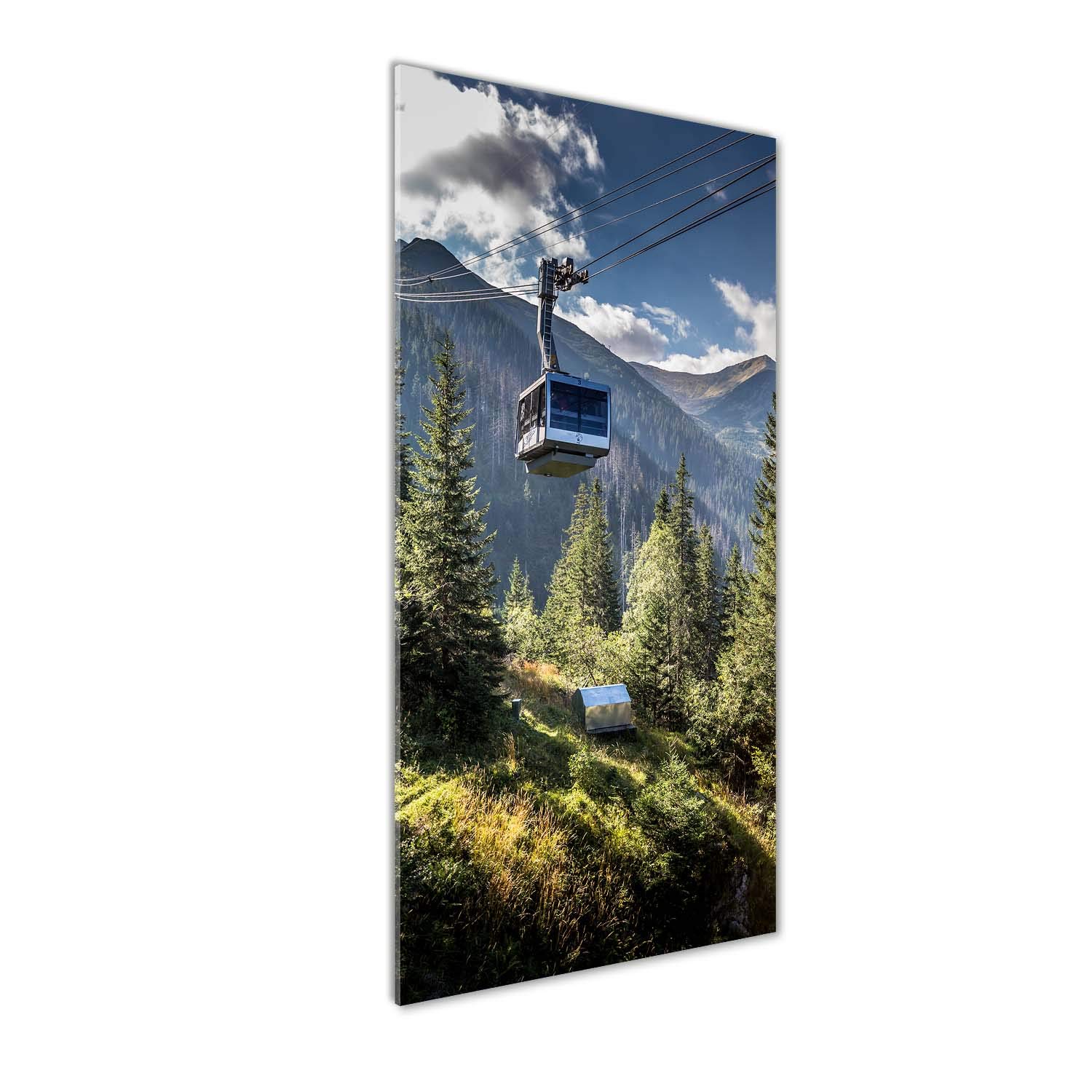 Impression sur verre acrylique Tulup 50x125 cm : tableau mural de paysage vert