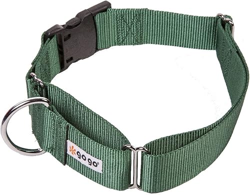 Vista 75 de GoGo Pet Products GoGo - Collar de perro Martingala de 3/8 pulgadas, talla XS, color naranja