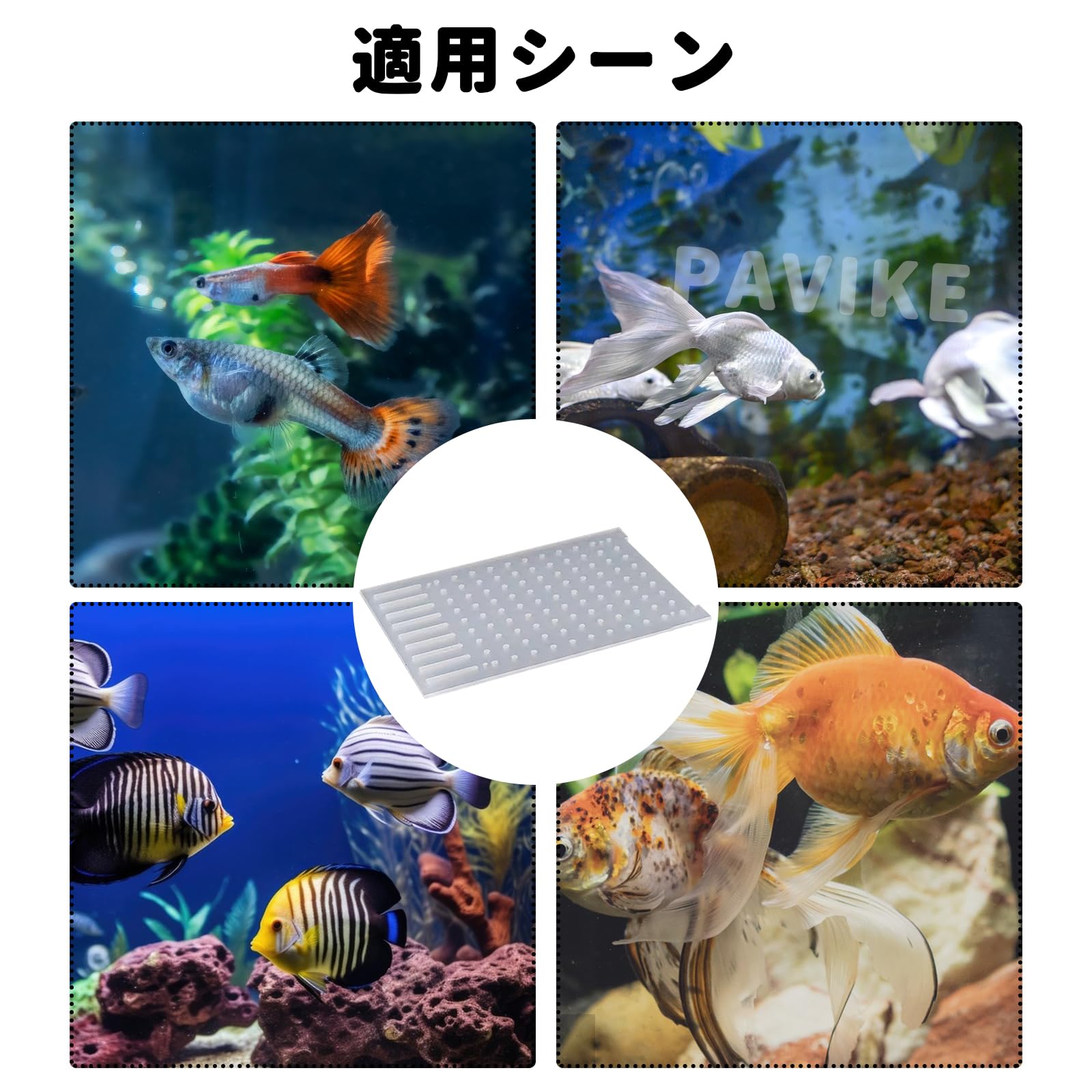 Amazon | PAVIKE水槽仕切り板 水槽セパレーター 水槽 水族館