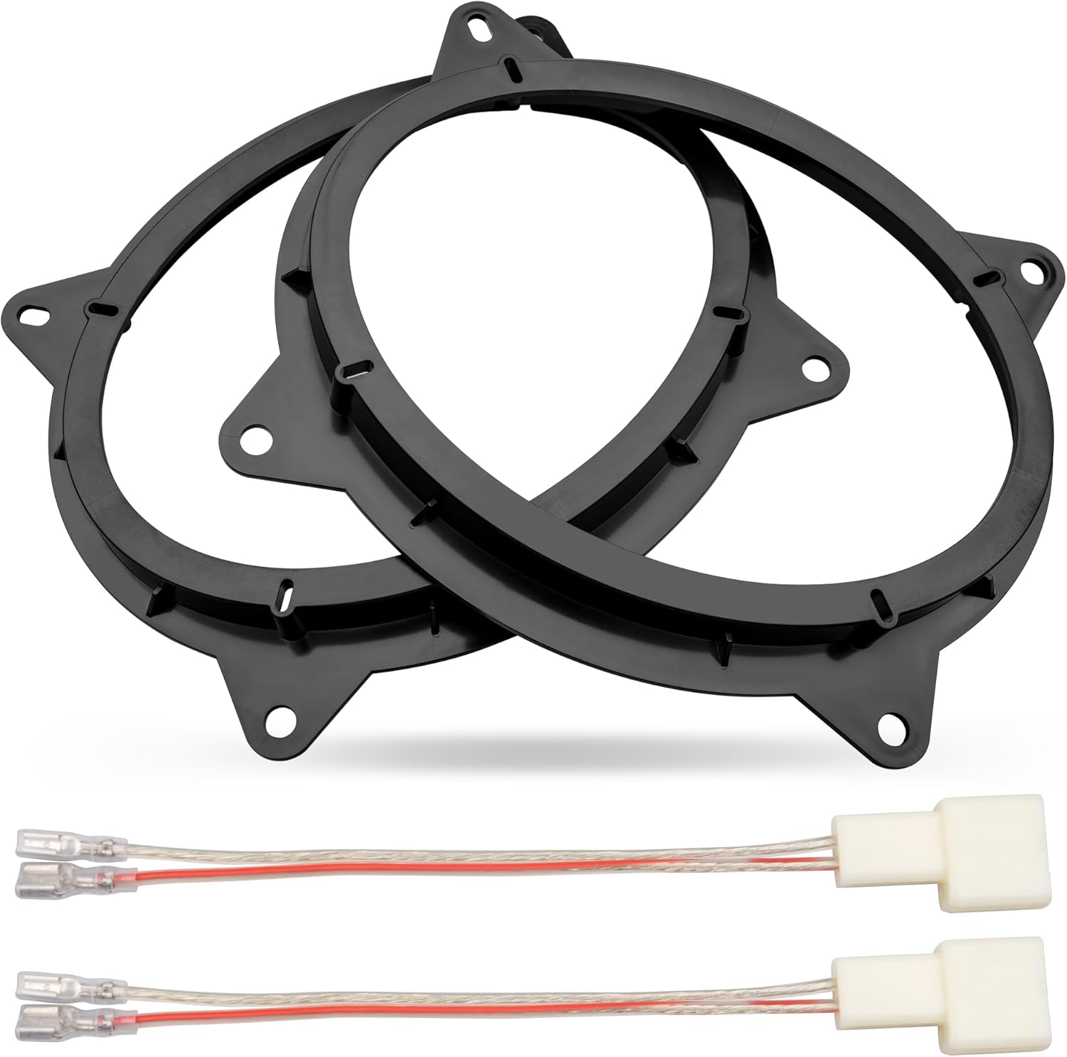 子株付き DBディッキア Dyckia beateae hybrid #227 ディッキア