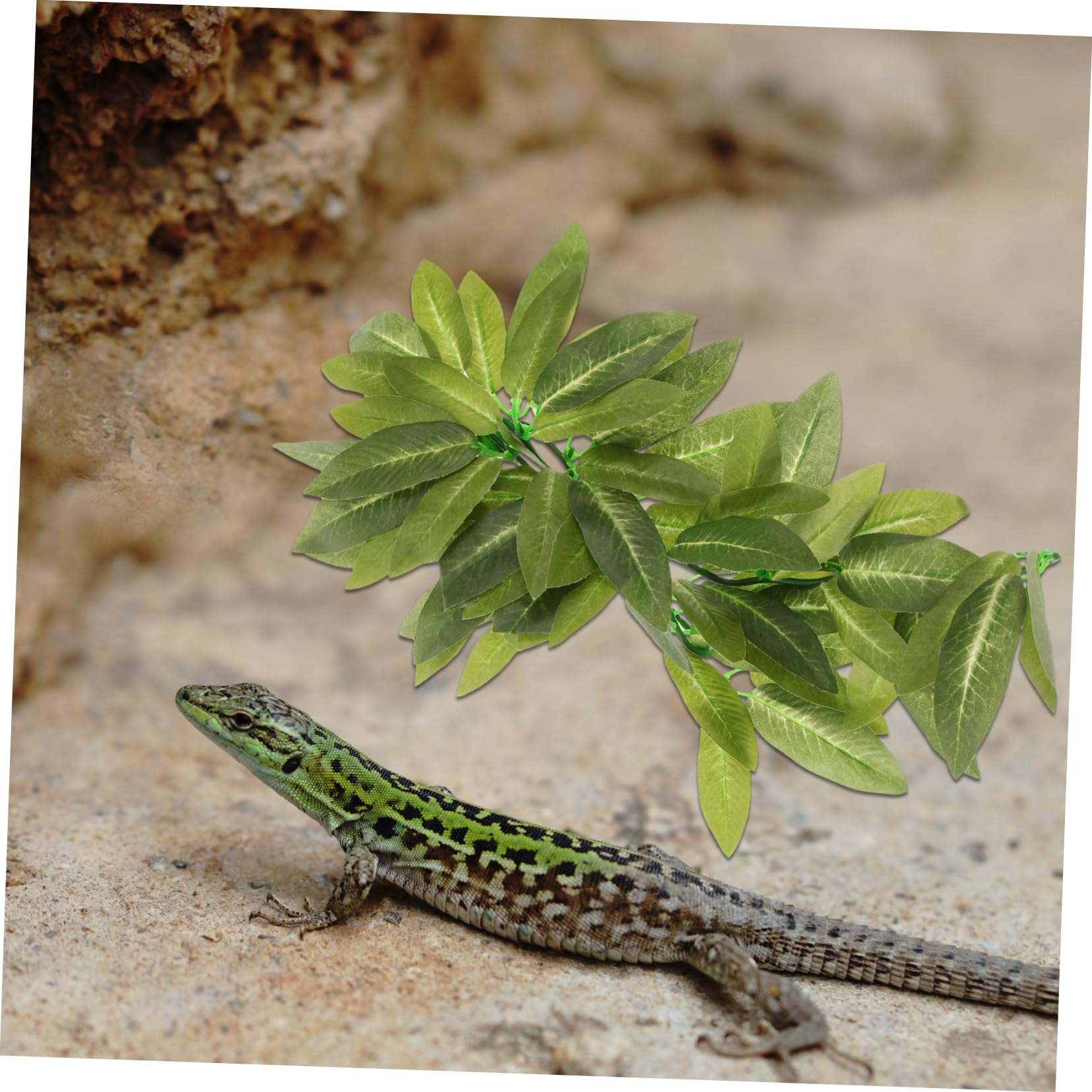 Toyvian 3 Ensembles Fausses Plantes Vignes pour Aquarium Terrarium Décorations pour Reptiles Accessoires pour Habitat Naturel 3 Pièces * 3