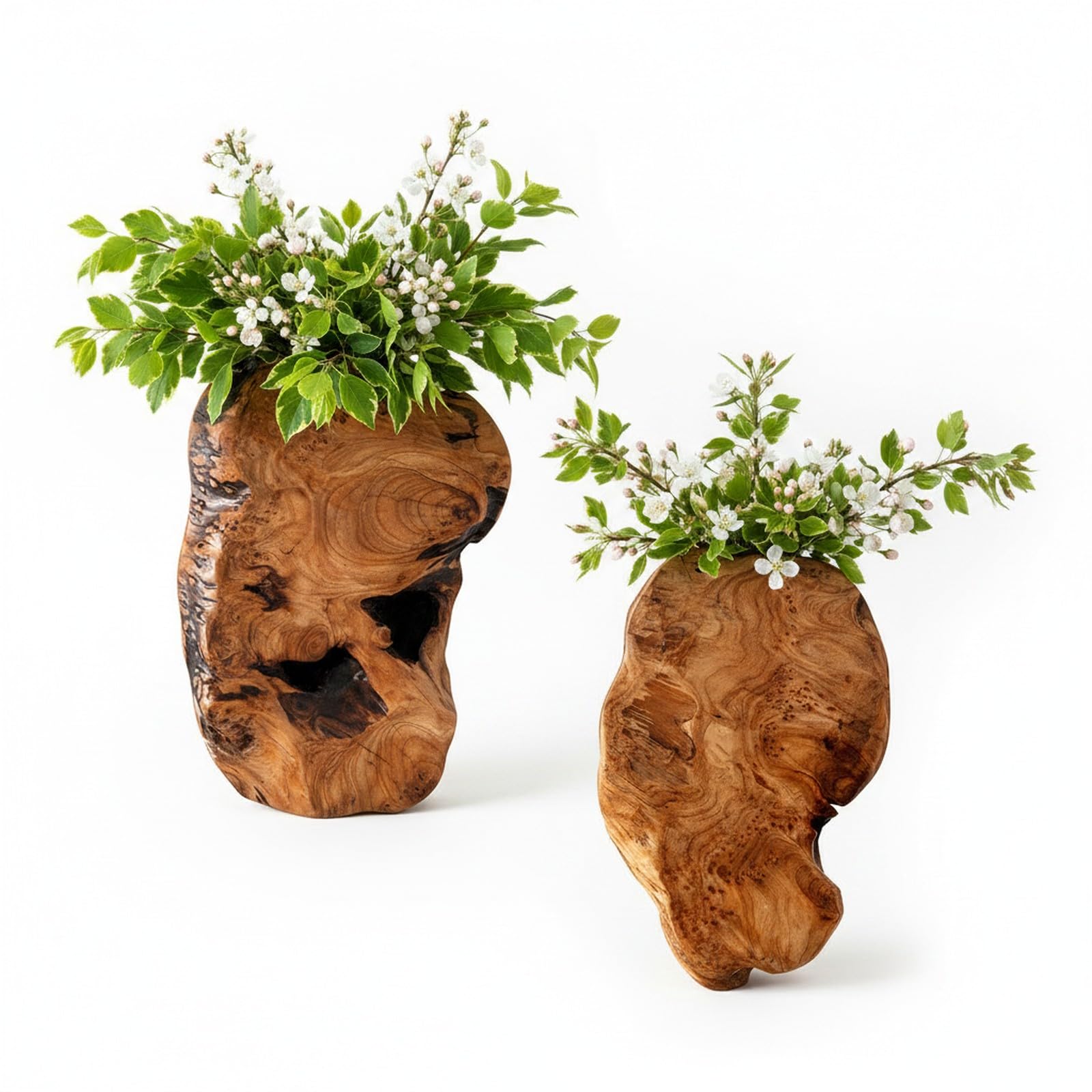 Photo 1 of Welland 2-Pack Cedar Root Wood Wall Vases, Handcrafted Rustic Wall Decor