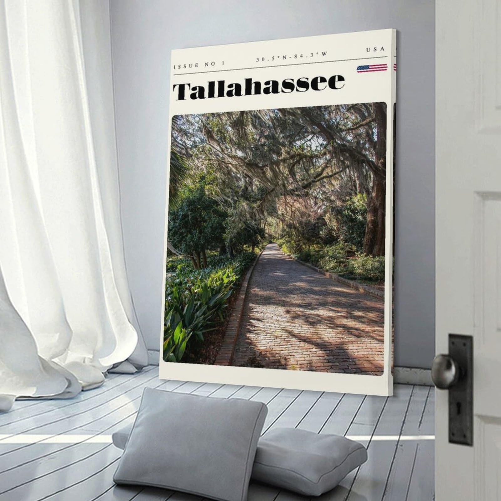 Junmoney Decorative Wall Artwork Tallahassee Florida Travel Art, 08x12inch(20x30cm), for Living Room, Bedroom Or Apartment Walls, Decorative Artwork for Empty Walls