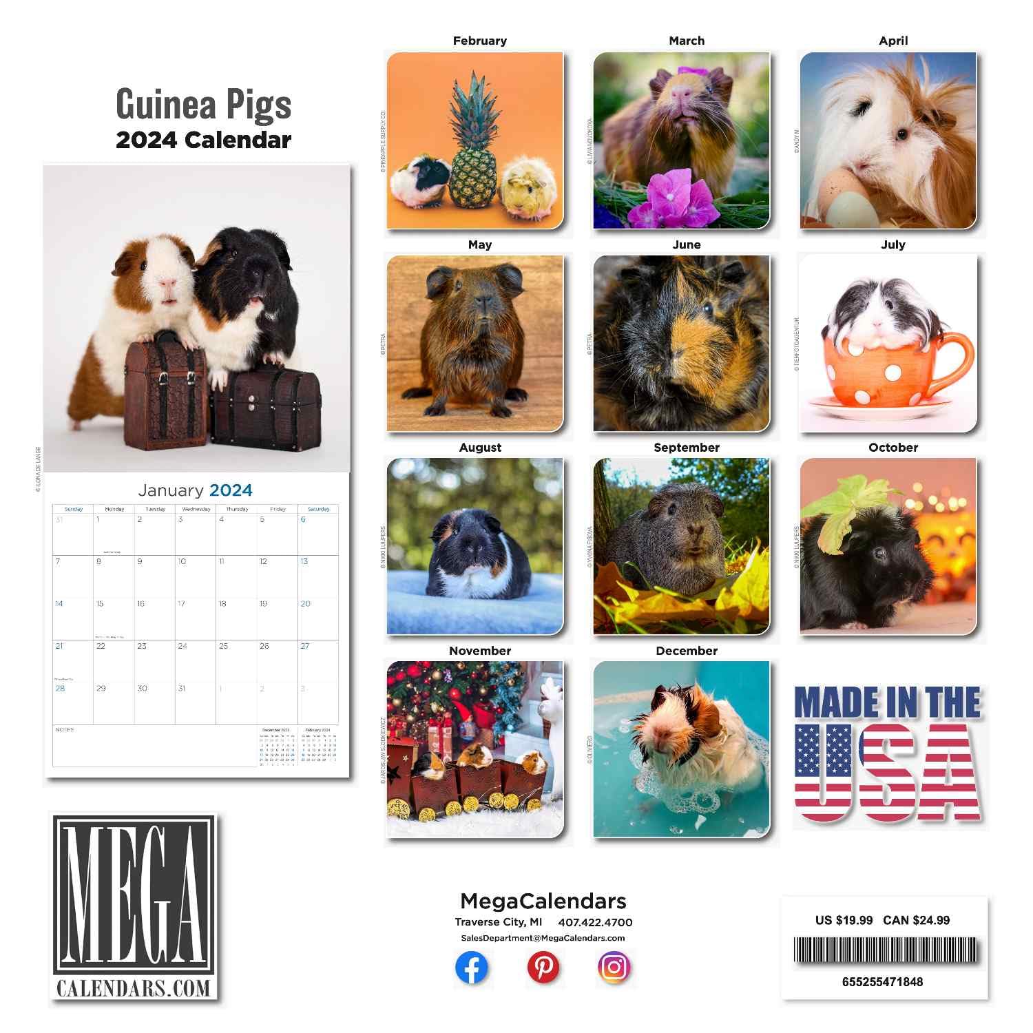 Snapklik com : Guinea Pigs Calendar 2024 Dog Breed Wall Calendar Snapklik com : Guinea Pigs Calendar 2024 Dog Breed Wall Calendar