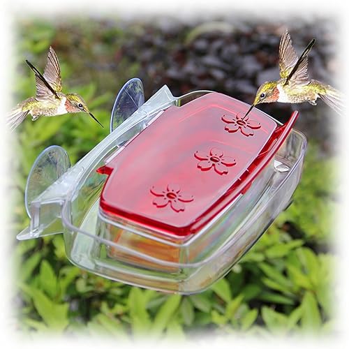 Juegoal - Comedero de colibrí para ventana, bandeja de alimentación de pájaros con 3 estaciones de alimentación, percha de colibrí para exteriores,