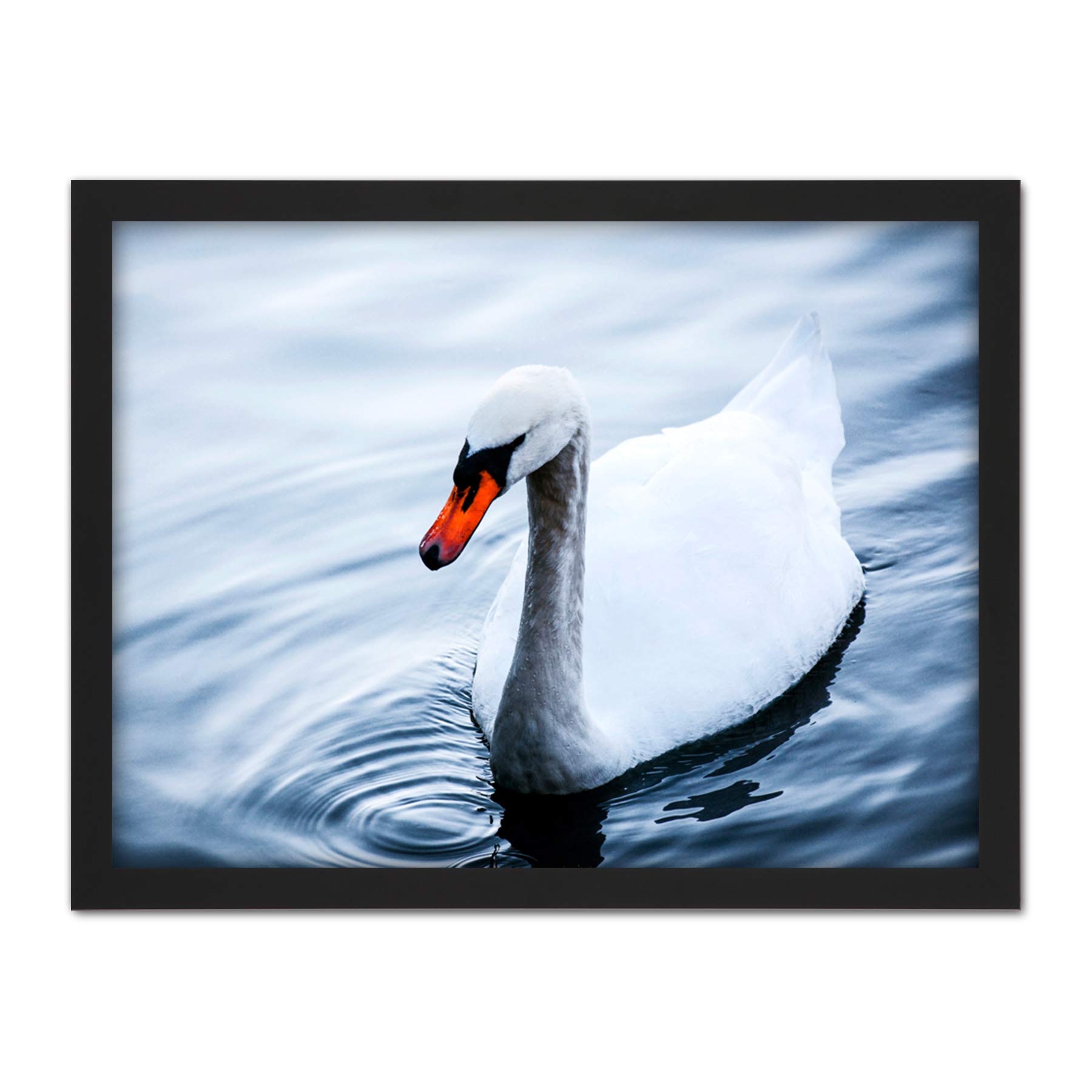 Artery8 Feifei Mute Swan Lake Bird Photo Artwork Framed Wall Art Print 18X24 Inch