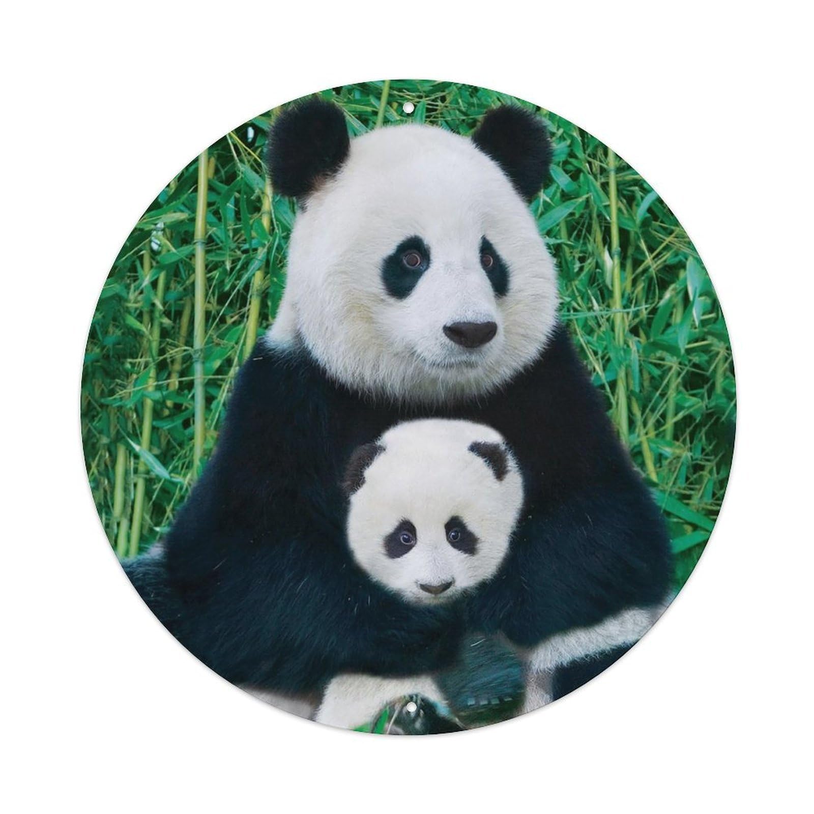 Giant Panda Father Cub Wildlife Bamboo Classic Metal Tin Sign