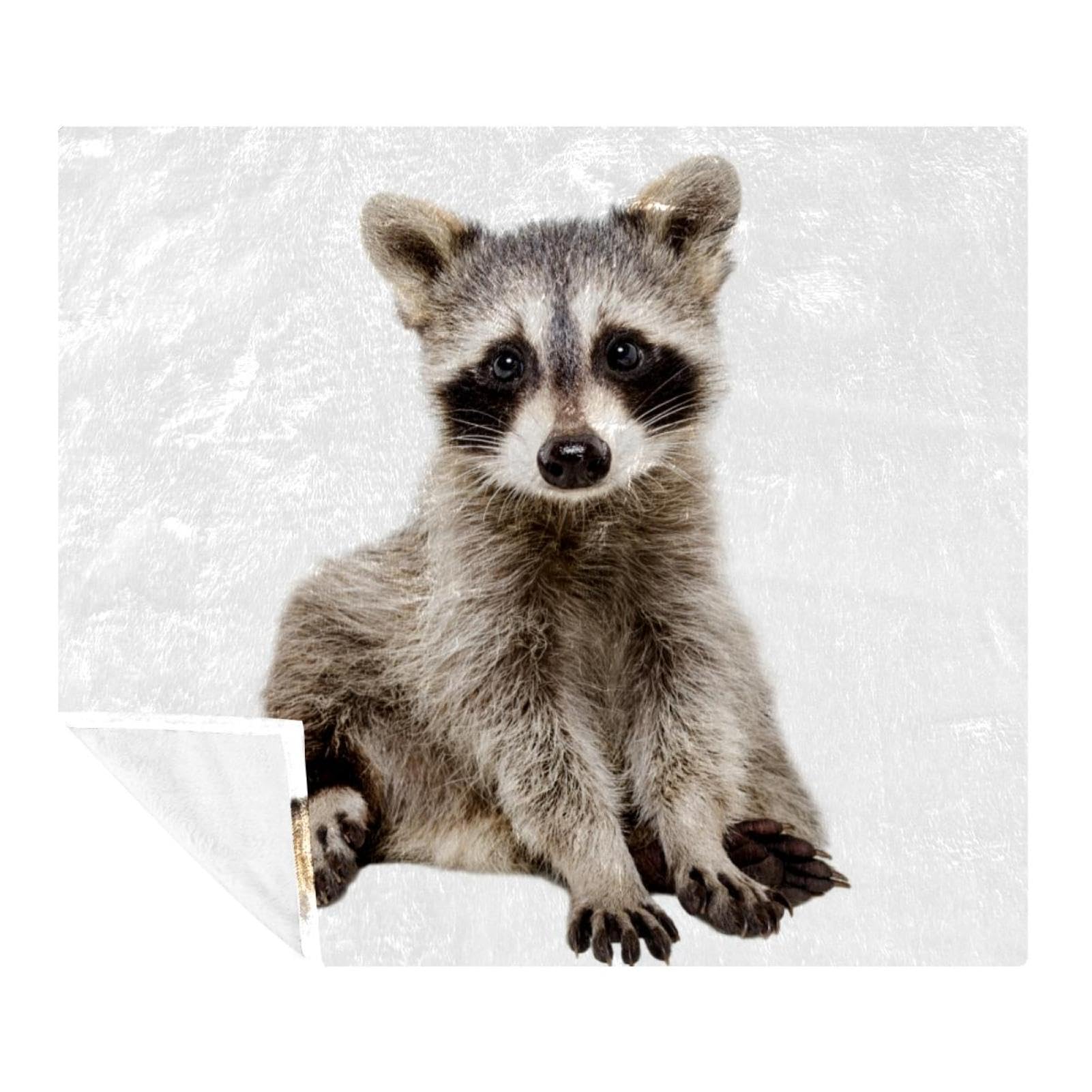 Couverture plaid raton laveur, cadeau idéal pour enfants et adultes