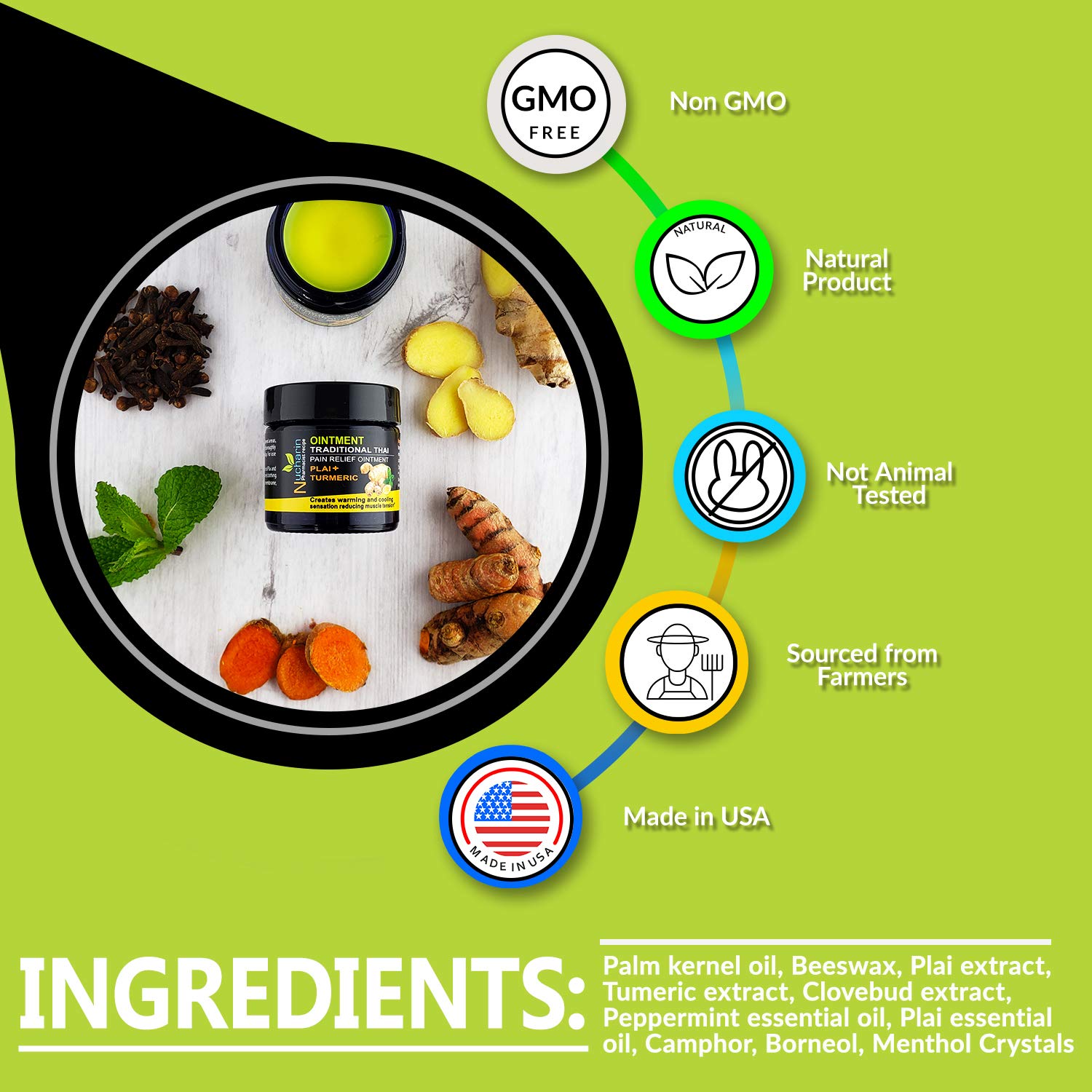 Buy Back Pain Natural Muscle Rub Turmeric Ointment with Menthol