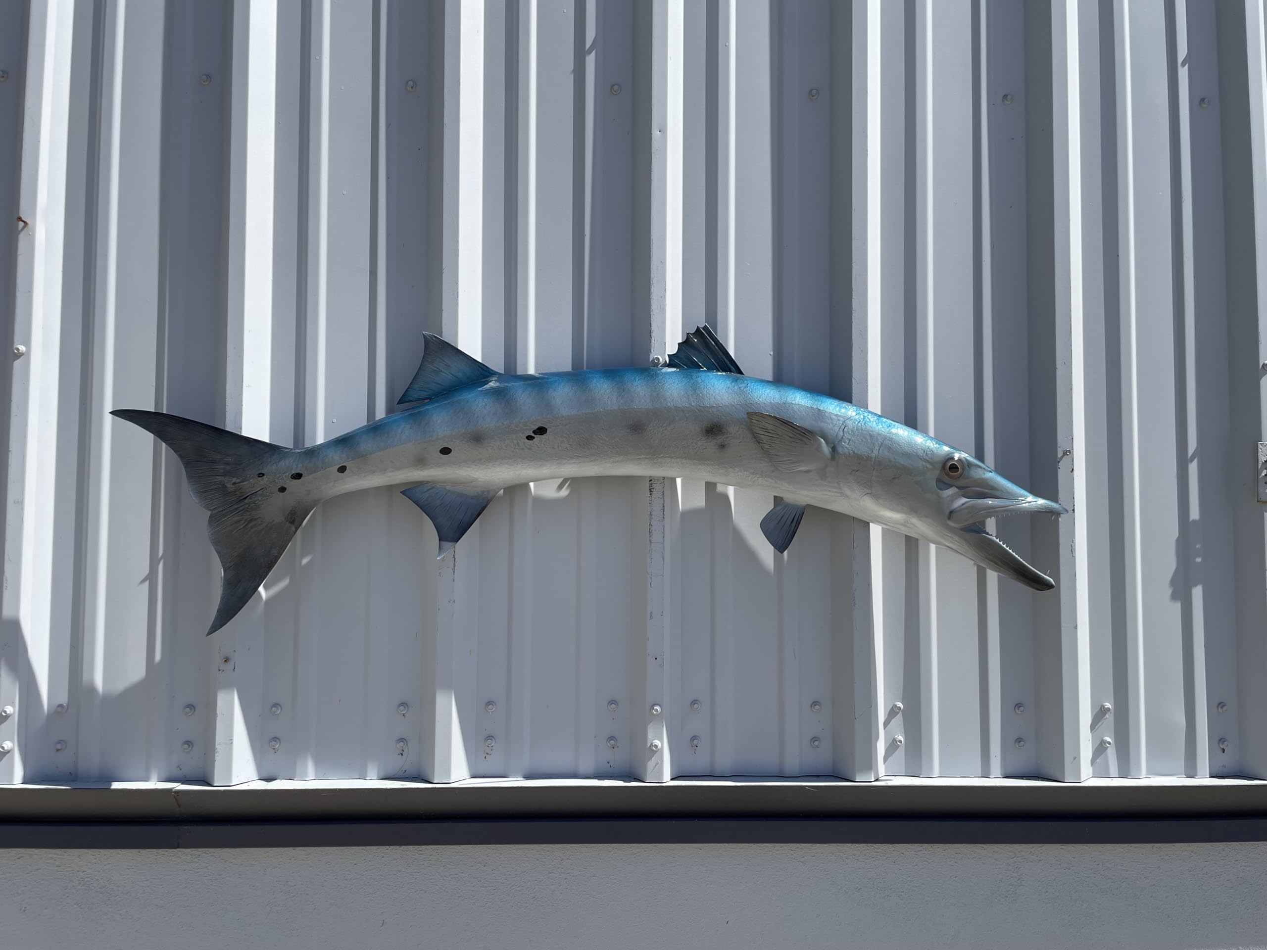 53" Barracuda Half Sided Fish Mount Replica - Affordable Coastal Decor - Indoors Or Outside
