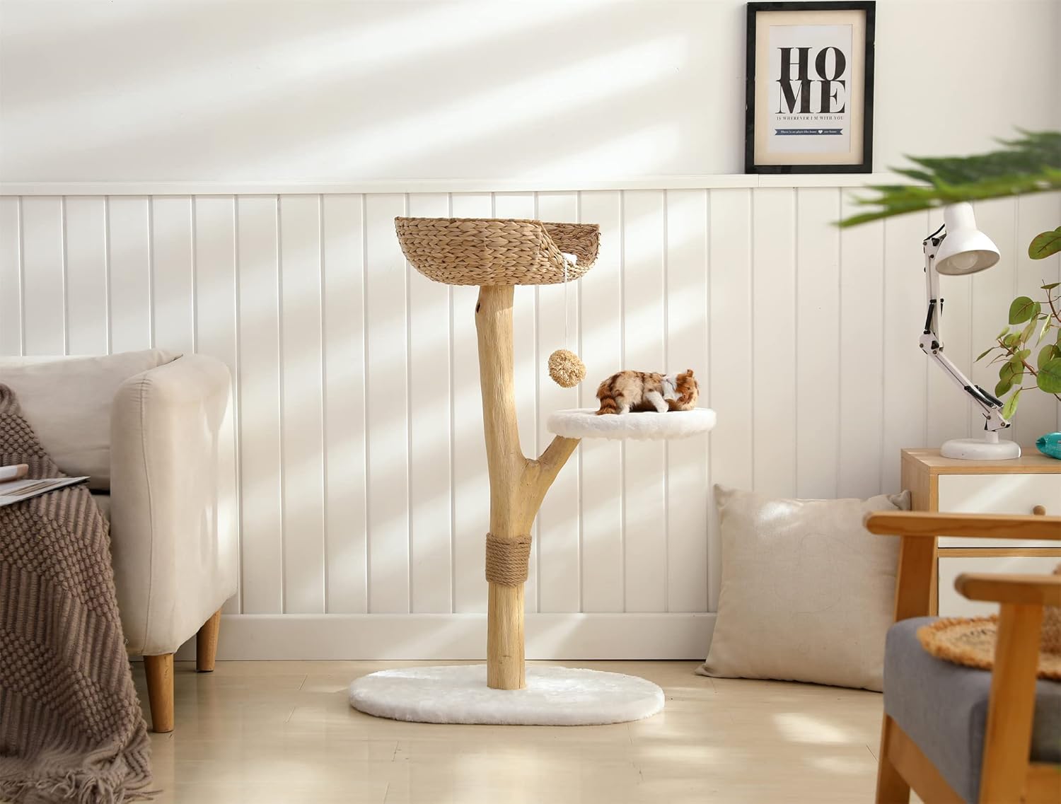 Buy Cat Tree for Indoor Cats Unique Cat Tree, 32 Inches Modern Cat