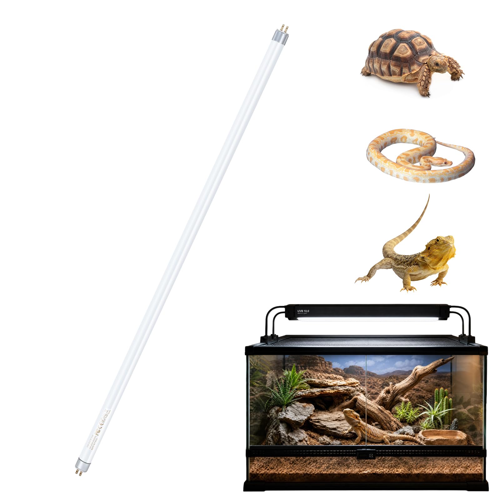GlintBay 24W T5 UVB Light Reptile 10.0,UVB Light for Reptile, 22IN UVA UVB Bulb for Reptile,T5 ho Linear UVB Bulb, 22inch UVA/UVB Desert Lamp for Bearded Dragon, Gecko, Tortoise, Lizard (2 Pack)