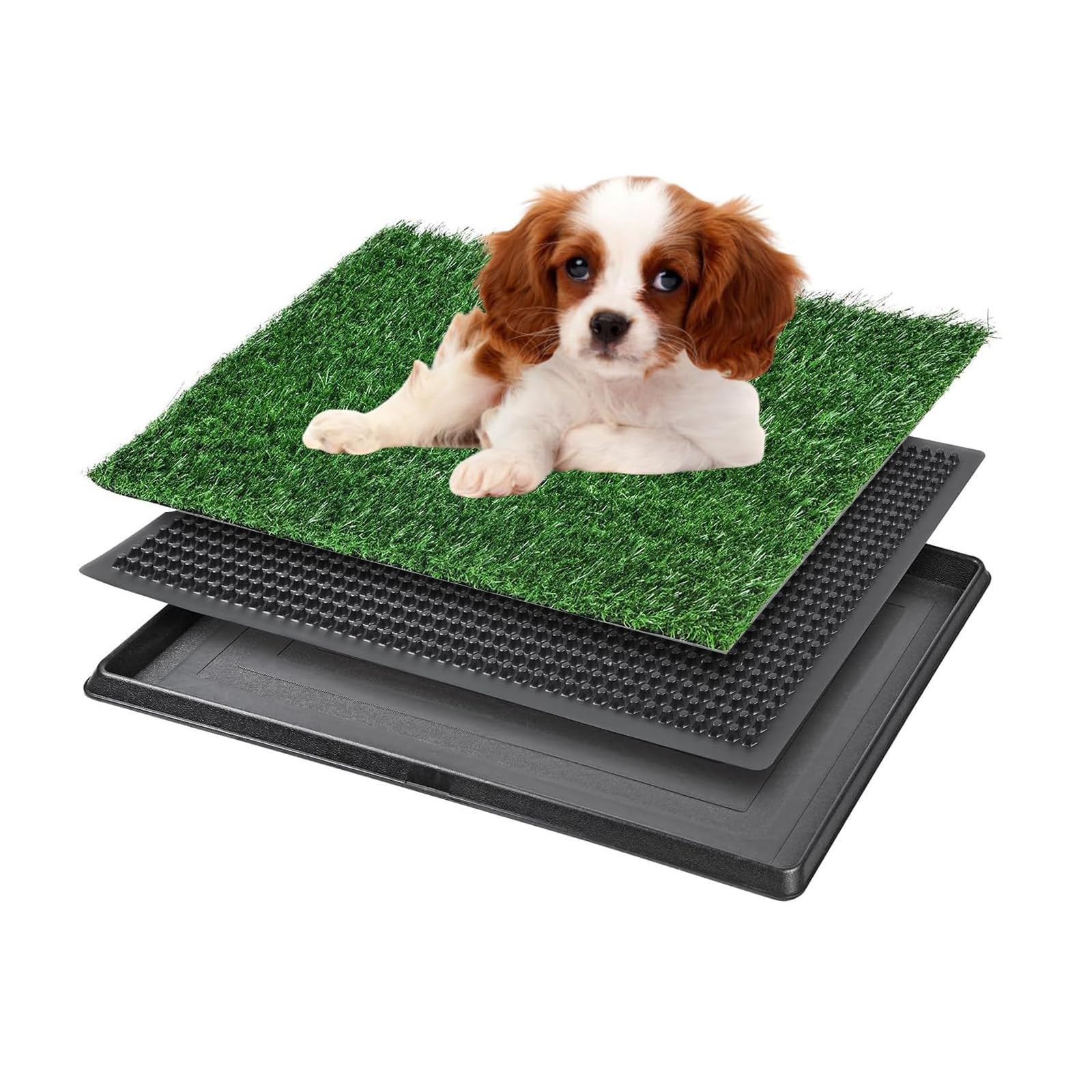 Inodoro cesped para Perros con Bandeja recolectora, 40 x 50 cm, Alfombrilla de césped Artificial | Entrenamiento de Inodoro para Cachorros y Perros pequeños | Alfombrilla Reutilizable para césped