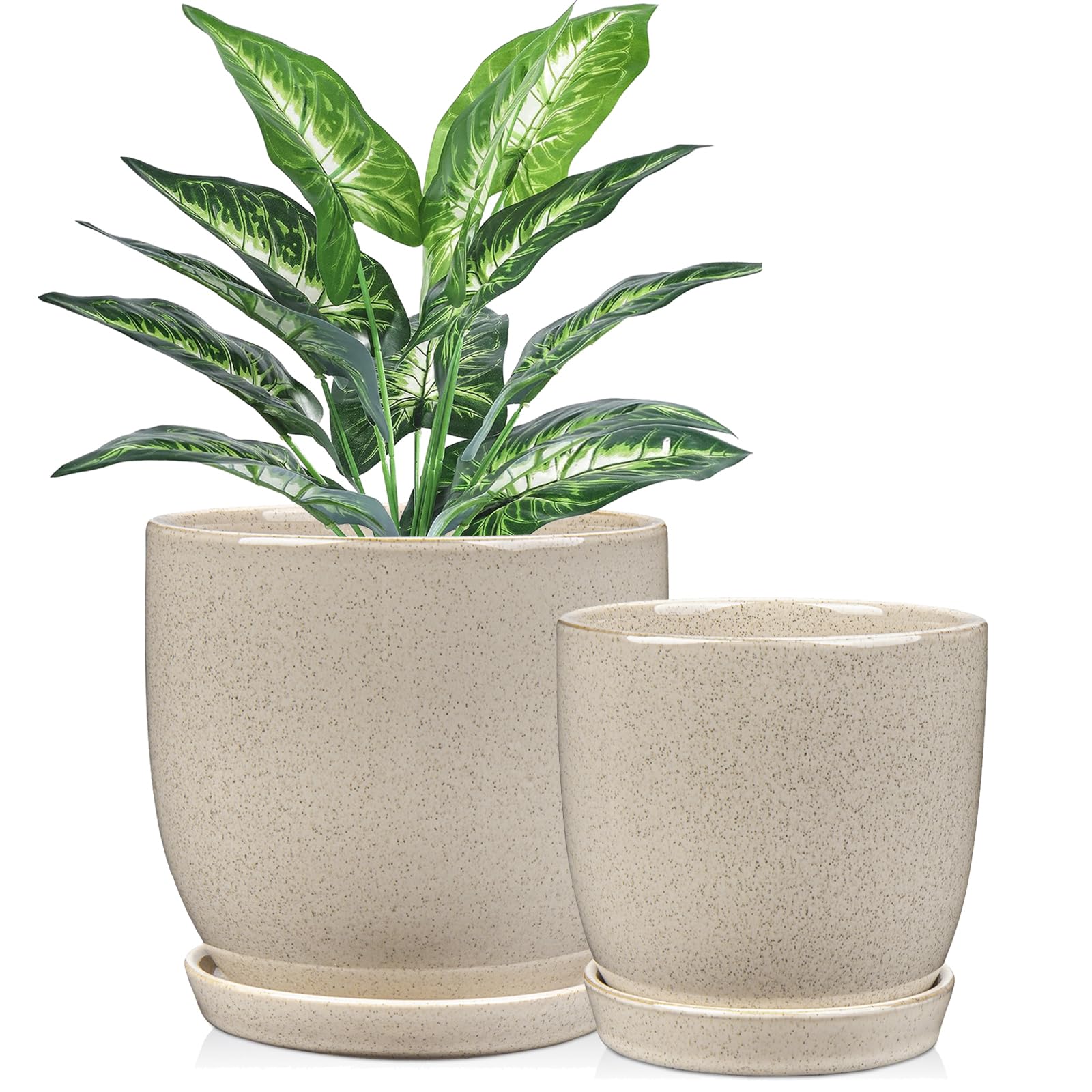 Amazon.com: 陶瓷植物花盆6 英吋+ 5 英吋2 件組植物盆栽附排水孔和茶盤