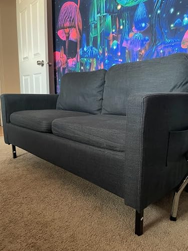 Review Image by Amazon Customer