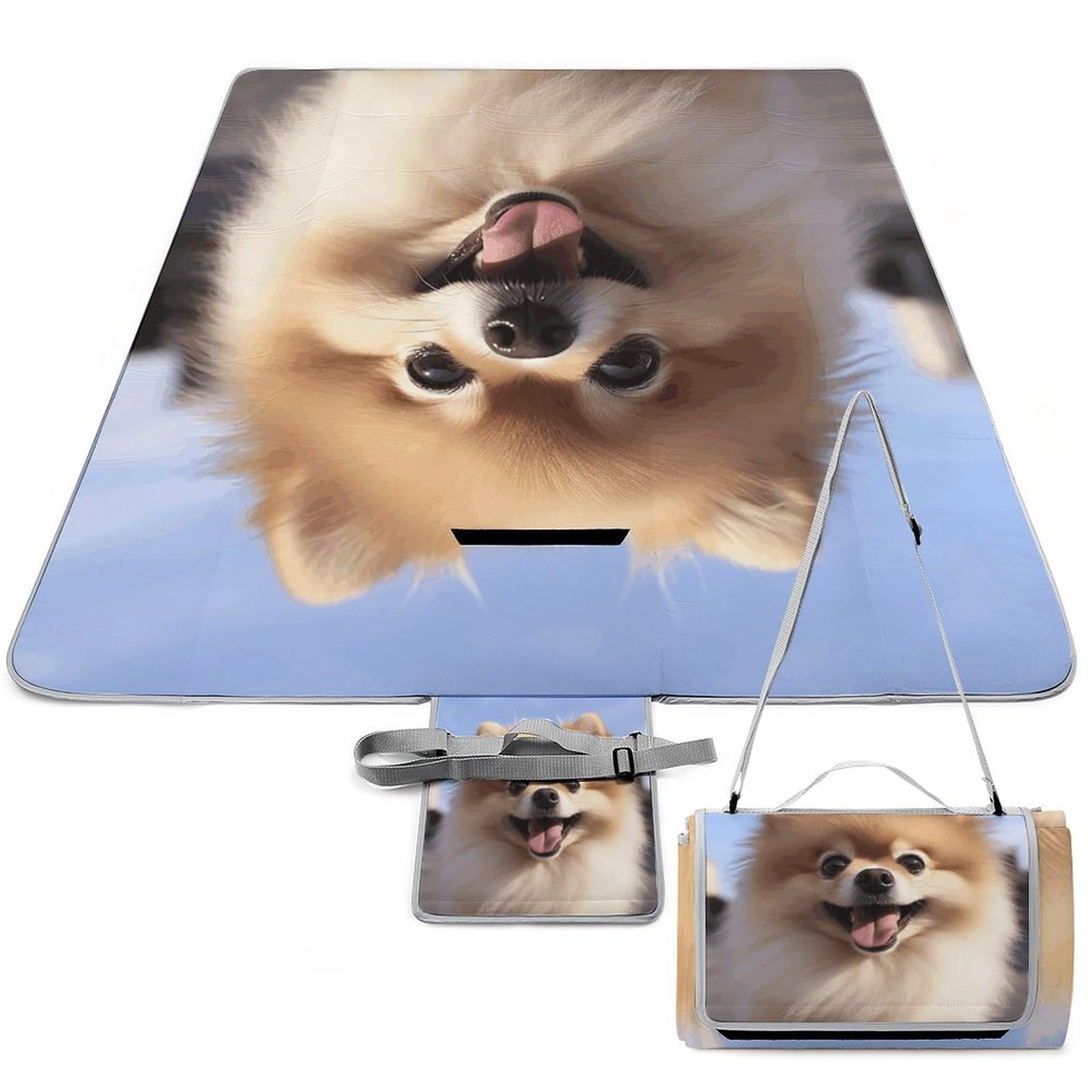LQWOK Picnic Mats, Happy Pomeranian Printed Picnic Mats,Travel Picnic Mats,Fashionable Picnic Mats,Folding Picnic Mats