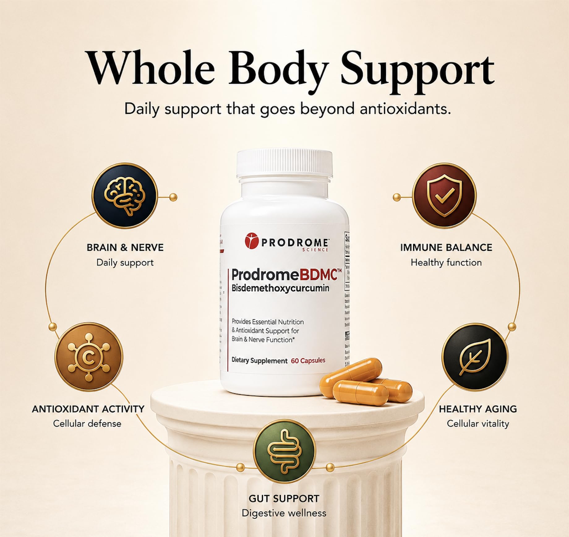 BDMC Curcumin Supplement for Brain, Nerve, Gut & Cellular Support | High BDMC Curcuminoid Formula for Antioxidant Activity, Immune Balance & Healthy Aging | ProdromeBDMC™ | 60 Capsules — Amazon image 4