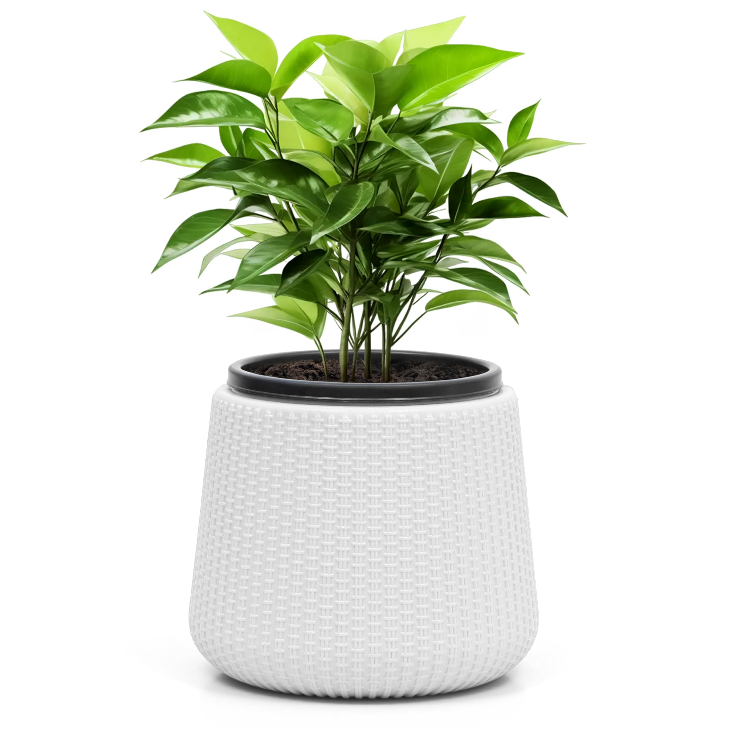 Livzing 7 inch Self Watering Flower Pots-Set of 1 | Indoor & Outdoor Planters | Planter Pots | White-Outer and Black-Inner Flower Pot | UV Resistant-UnFadable | Reduce Maintenance