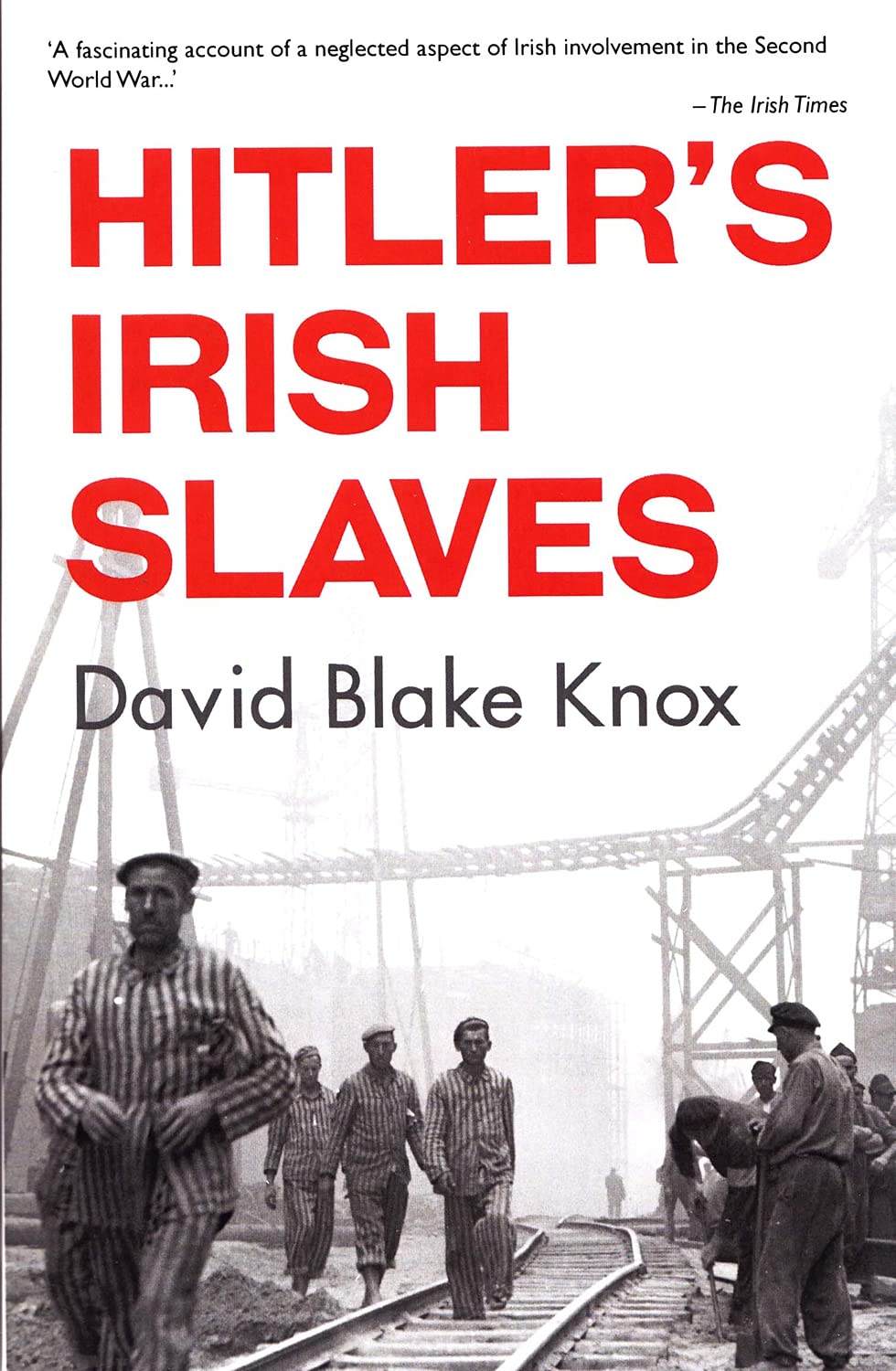 Buy Hitler's Irish Slaves: (Revised Edition) — BookShops.in