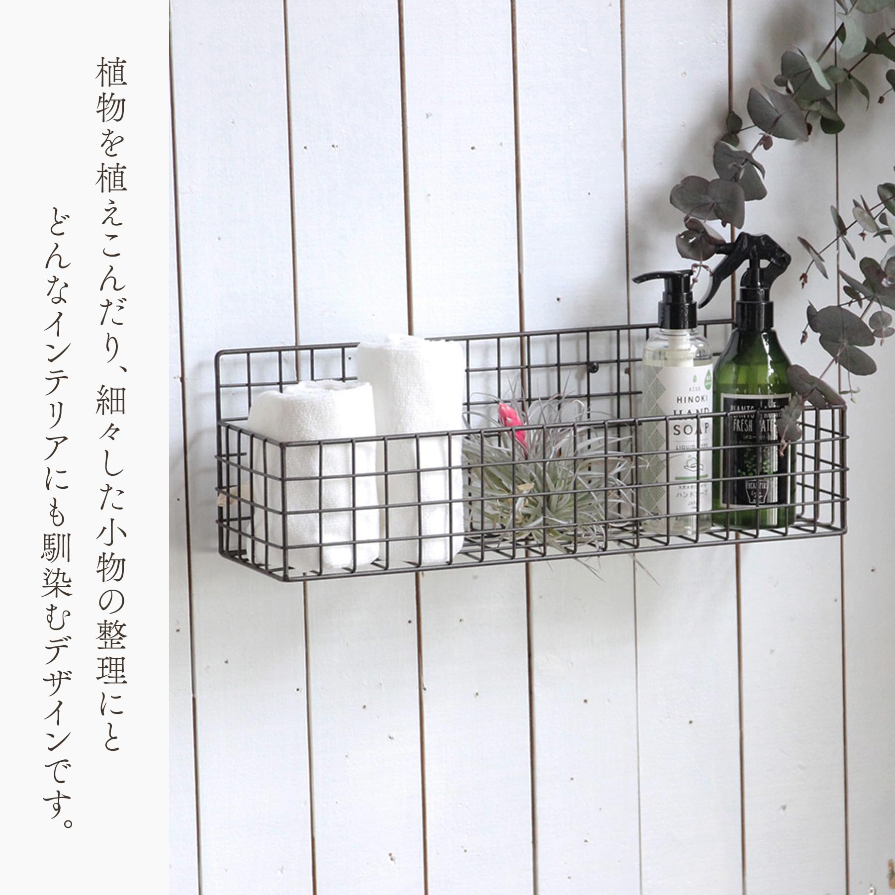 Amazon.co.jp: スパイス(Spice) SPICE OF LIFE かご ワイヤー