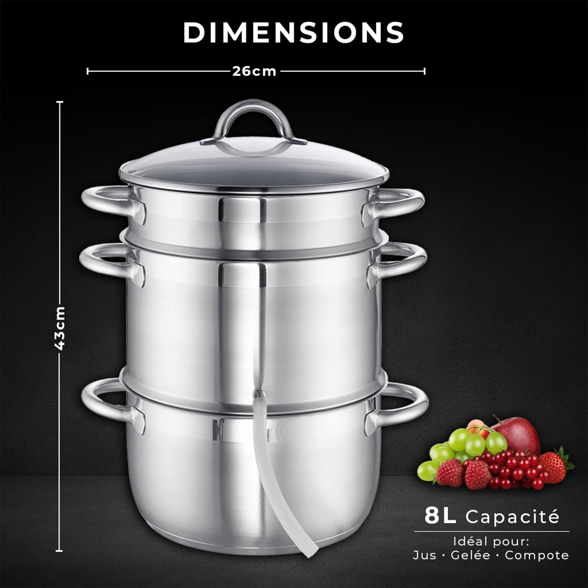 KARL HAUSMANN Extracteur de Jus Vapeur Inox 8L pour Induction, Gaz, Vitrocéramique et Électrique - Extracteur jus Fruits et Légumes Maison avec Tuyau, sans BPA, Grande Capacité