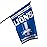 FOCO Detroit Lions NFL Vertical Retro Flag