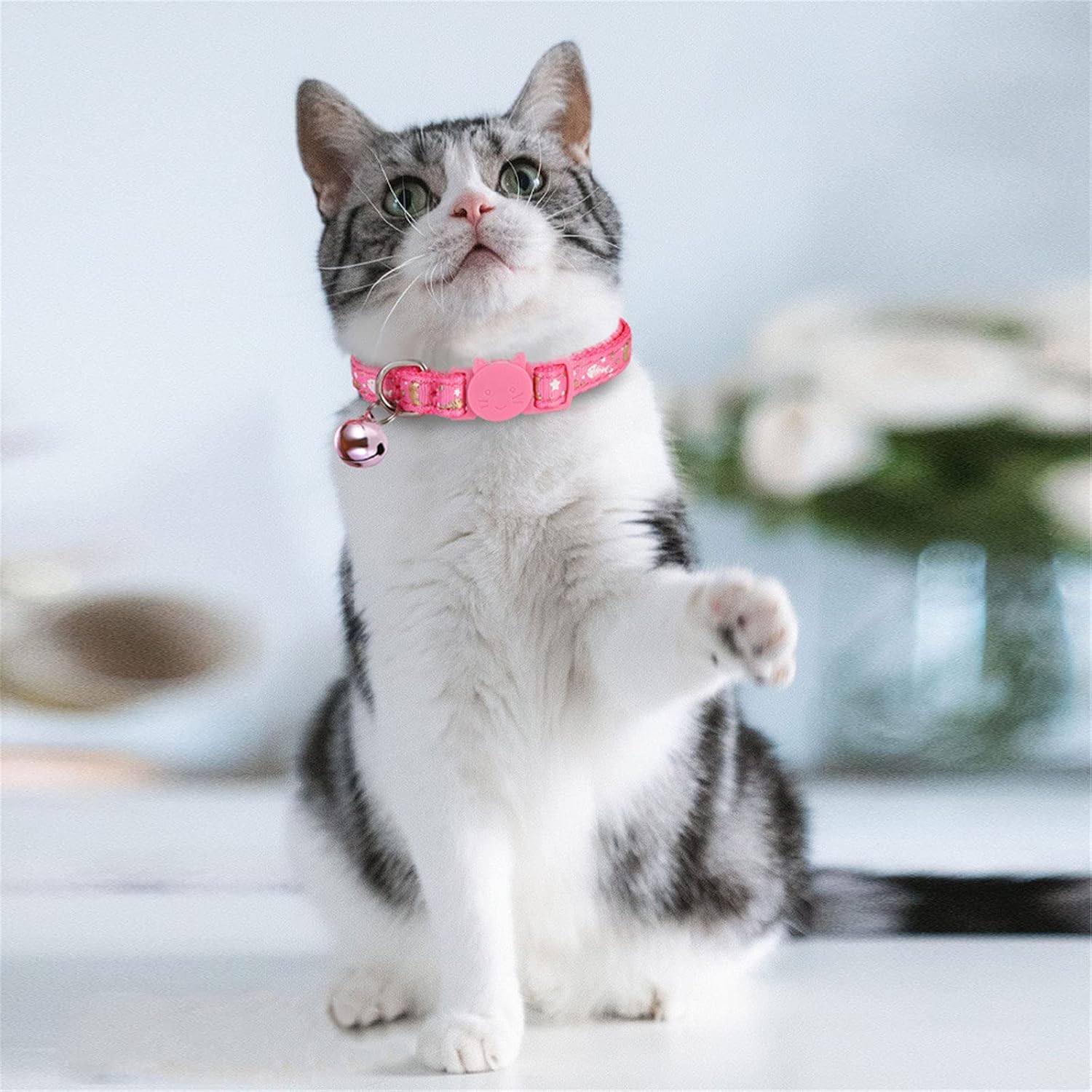 SLSON 3 Pack Cat Collar Breakaway Kitten Collar with Bell Moon Star and Fish Bone Pattern Cat Collars Glow in Dark Adjustable from 7.5-11.4In (3 Pack, Purple+Pink+Black)