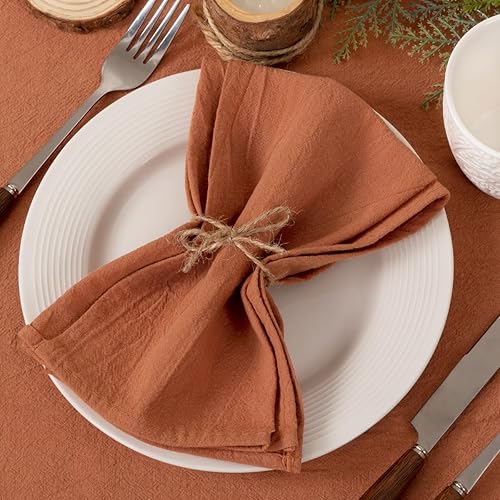 Miniatura 3 de Socomi Servilletas de tela de terracota para otoño y verano, lavables, reutilizables, a granel, juego de 10 servilletas de lino de 17 x 17 pulgadas