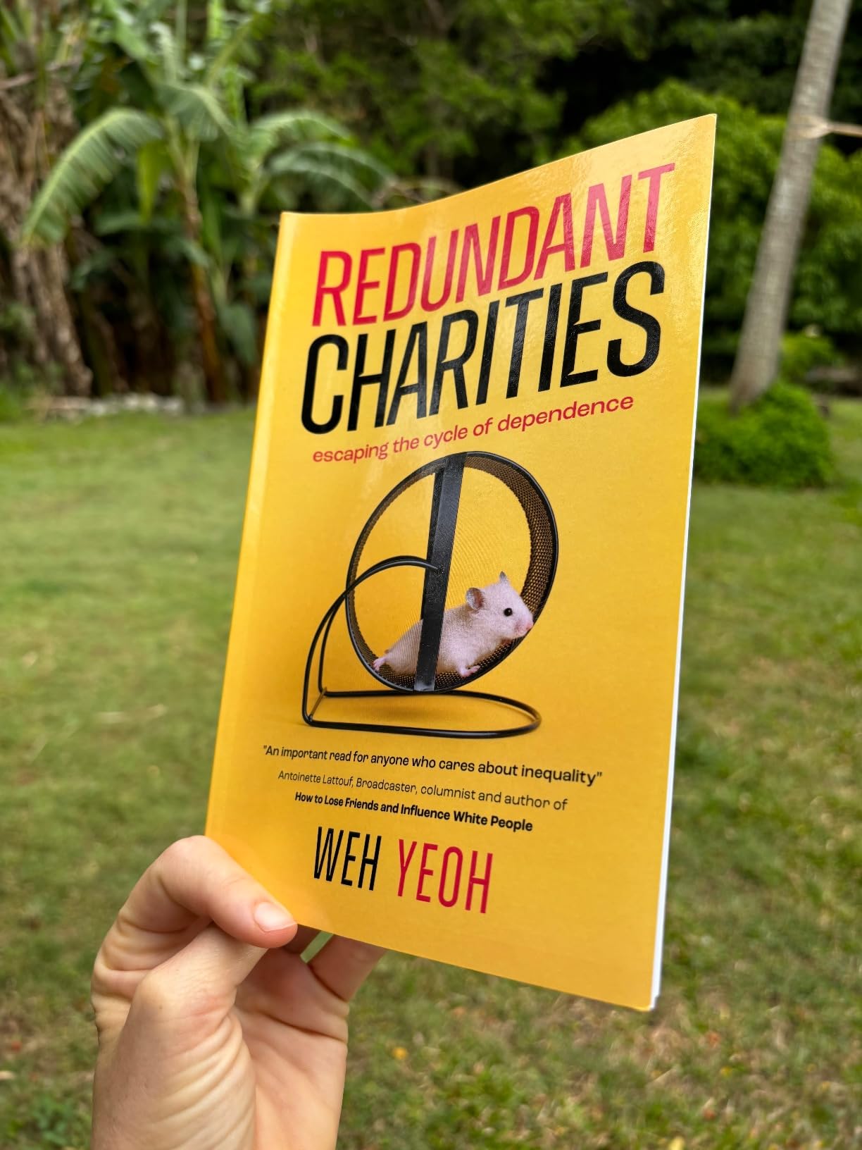 Redundant Charities: Escaping the cycle of dependence : Yeoh, Weh ...