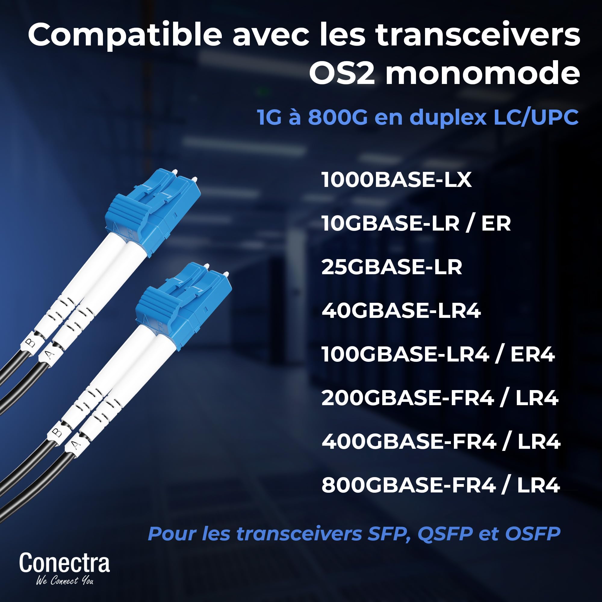 300m Câble Fibre Optique Blindé OS2 Duplex Breakout LC/UPC, Jarretière Optique Monomode G657A2 9/125, LSZH Intérieur/Extérieur, Rallonge Fibre Armée Cordon Patch Câblage Réseau ⌀3mm Noire