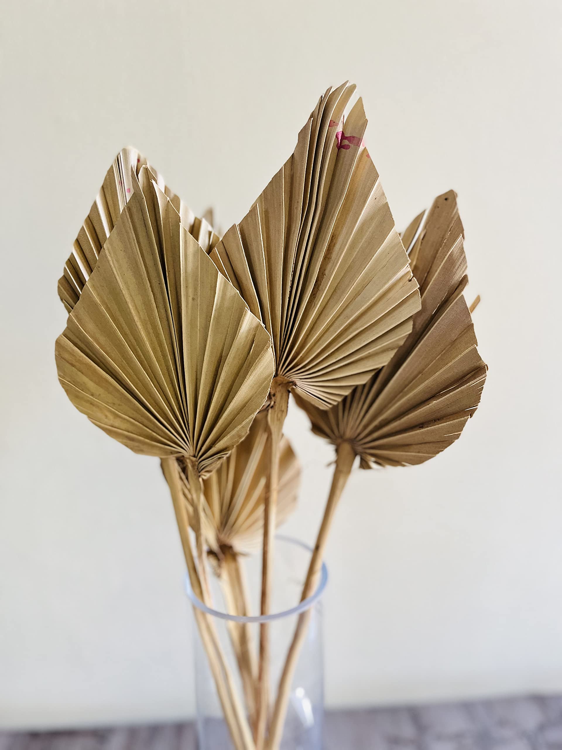 Royal sapphire Dried Palms Spear Stems - Set of 6-image-9