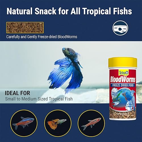 Miniatura 4 de Tetra BloodWorms 0.25 Oz, Freeze-Dried Food for Freshwater and Saltwater Fish, Seafood (Pack of 1)