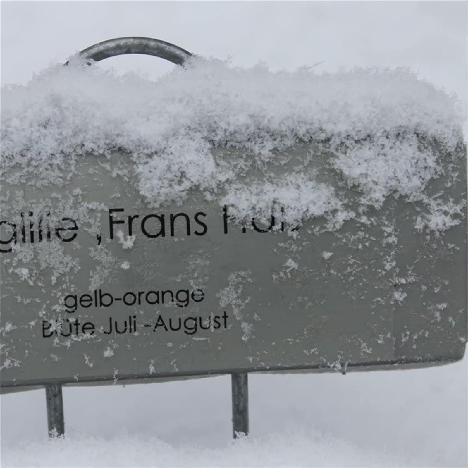 Pflanzenschilder 25 Packungen Metallpflanzenetiketten, Gartenblumen-Topfschilder, wasserdichte Schilder