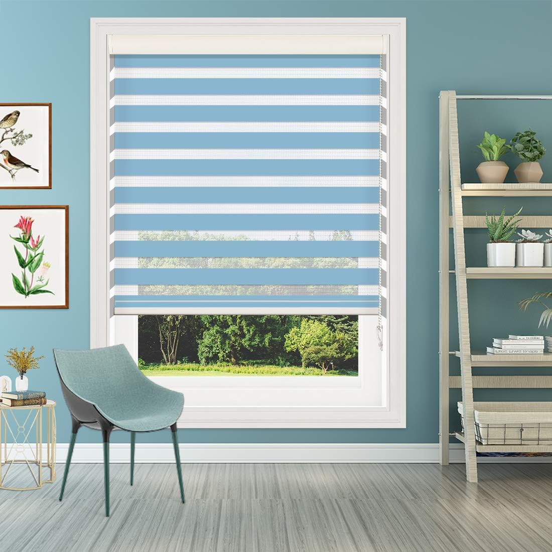 blue blinds
