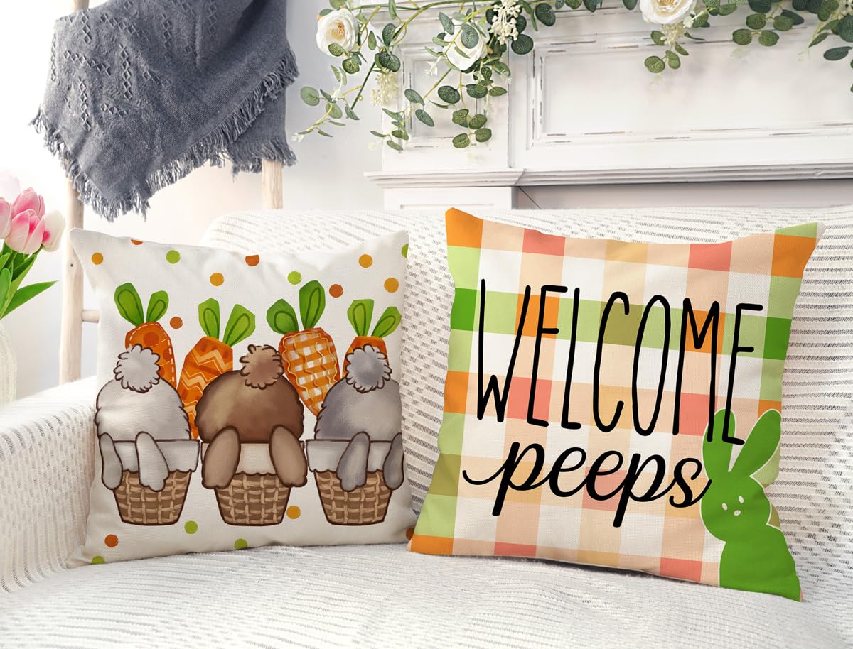 4TH Emotion Easter Pillow Covers 18x18 Set of 4, Welcome Peeps Bunny Carrots Farmhouse Decorations Spring Holiday Decor Throw Cushion Case for Home Couch TH210 2