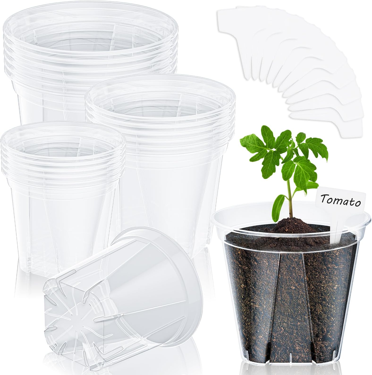 Amazon.com: SUNPRO Clear Nursery Pots for Plants - 10 Pack Transparent ...
