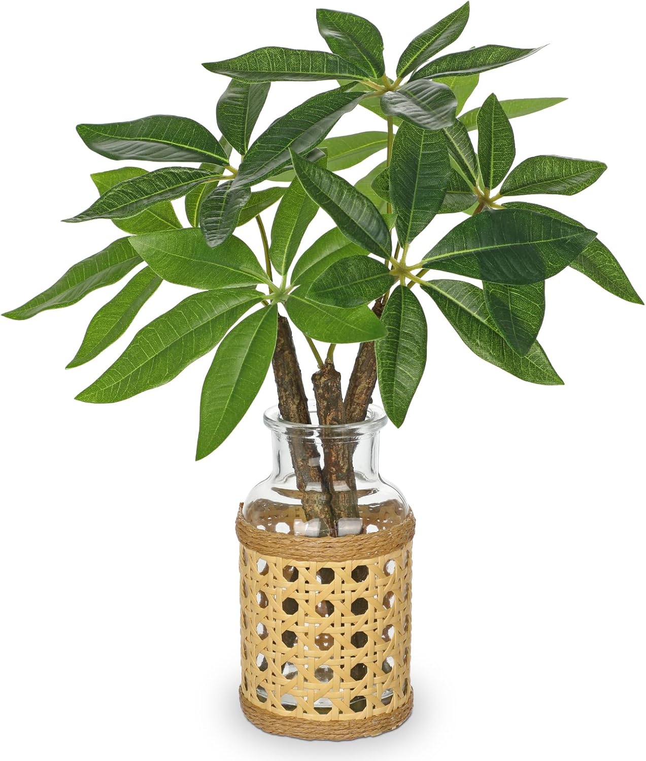 Hollyone Fake Money Tree Leaves Stems in Woven Glass Vase with Faux Water 11.8" Artificial Plants Indoor Money Tree Plant for Home Office Bedroom Shelf Farmhouse Wedding Table Centerpiece Decorations