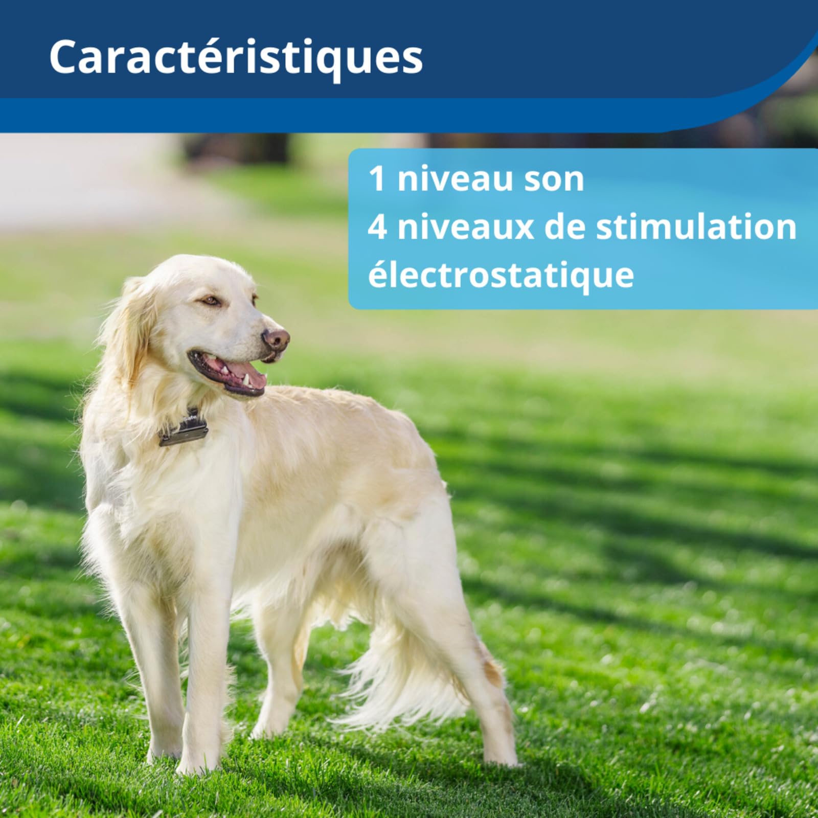 Petsafe - Système De Clôture Anti-Fugue avec Fil pour Chien De Plus 3,6 Kg – 4 Niveaux De Stimulations - Tous Types De Jardin (Jusqu'À 0.13 Hectares) - Imperméable - Facile À Installer