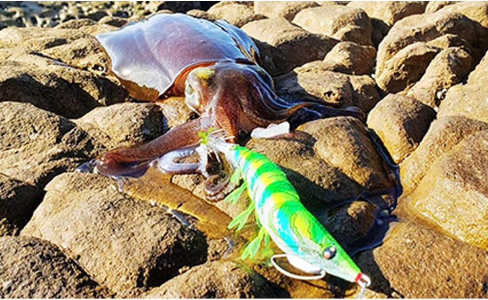 Duel EZ-Q Cast Plus 3.0 No. 25: Nigori Lime, Squid Fishing, Aori Squid, Egging