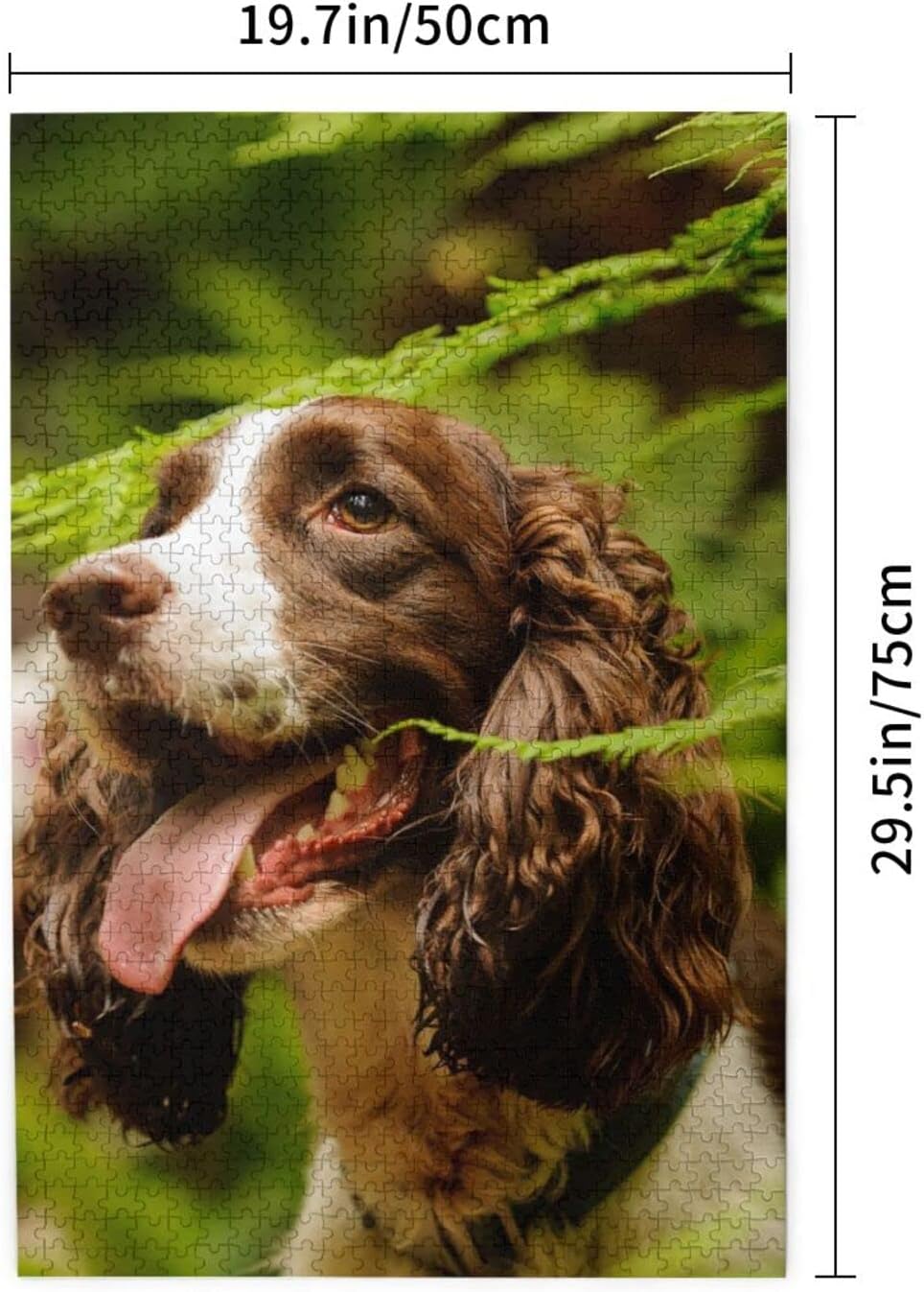 Springer Spaniel Jigsaw Puzzles 1000 Pieces for Adults - Puzzles for Adults and Children Home Decoration