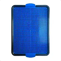 Tapete Higiênico Sanitário para Cachorros Xixi Pet Dog Banheiro Lavável Canino Reutilizável Azul
