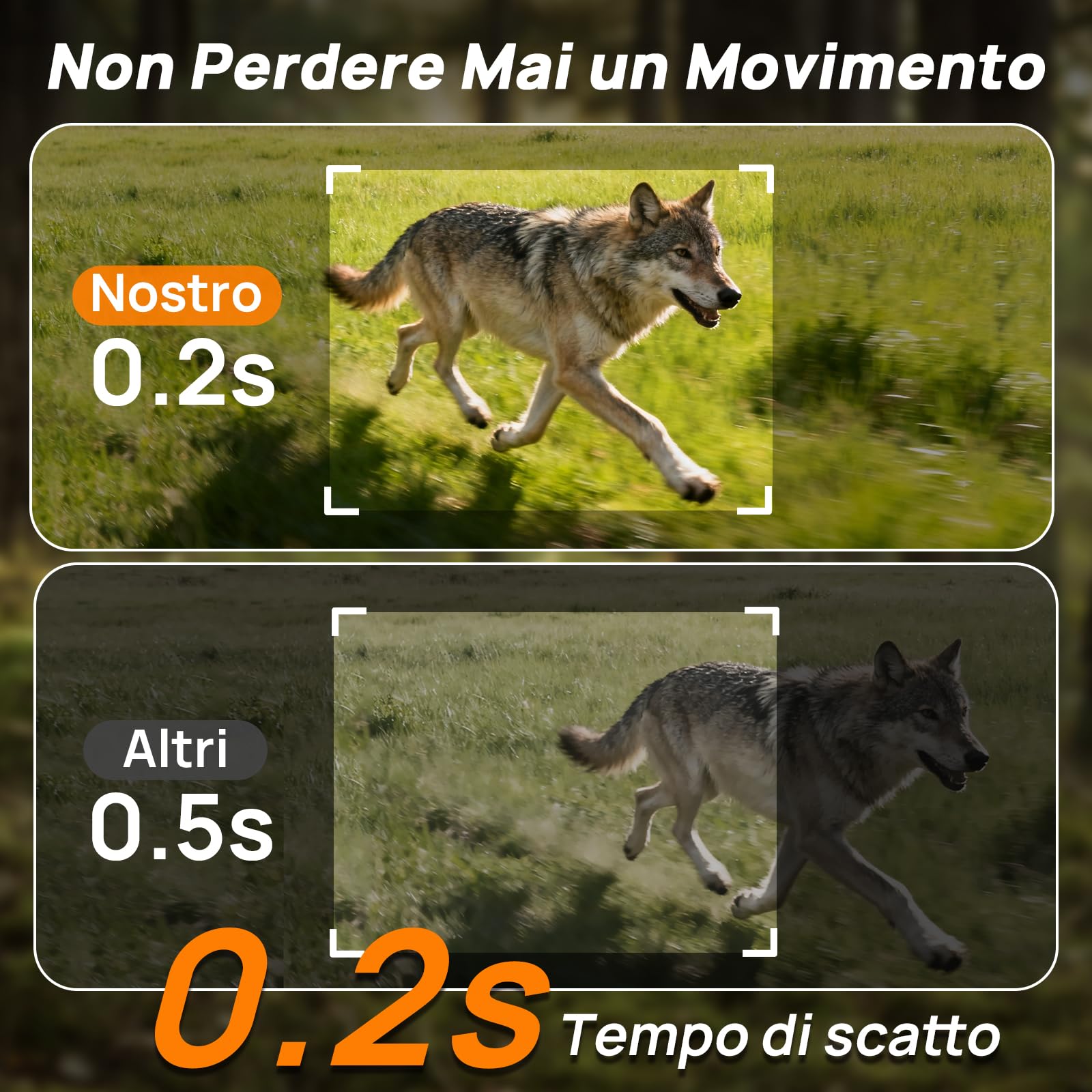 iZEEKER 2 en 1 Fototrappola Solare 4G LTE con SIM e 64GB Scheda Micro SD, HD 48MP Fotocamera Caccia Visione Notturna, Batteria 5200mAh, APP Controllo Remoto, Senza Wi-Fi, IP66 Impermeabile per Fauna