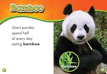 pandaページ Amazon.com: Giant Pandas (Blastoff! Readers: Animal Safari