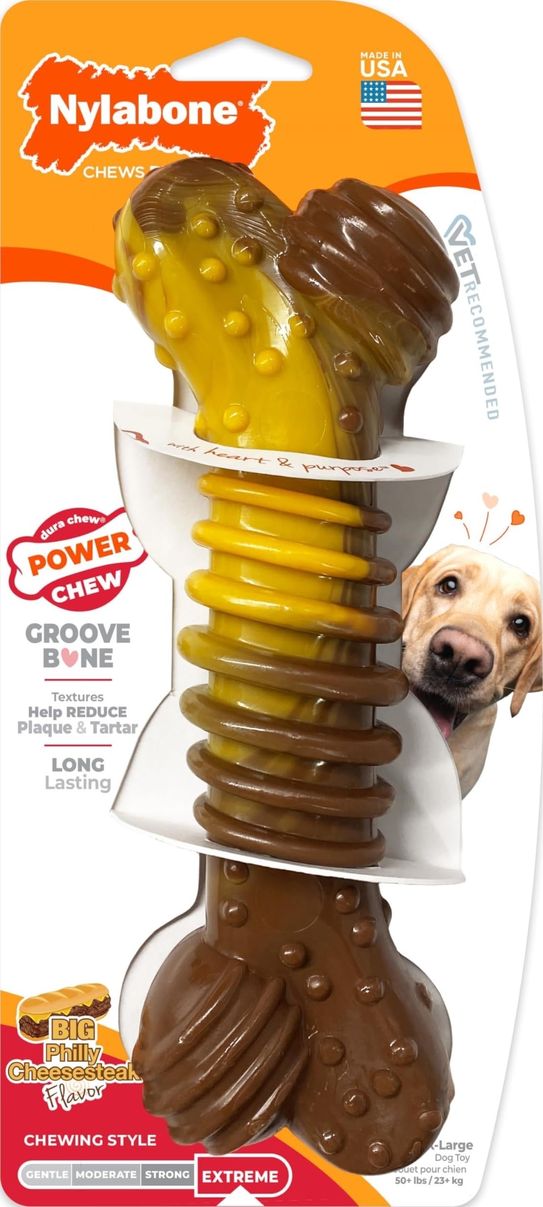 Pet Supplies : Nylabone Power Chew Dental Groove Bone Dog Chew Toy