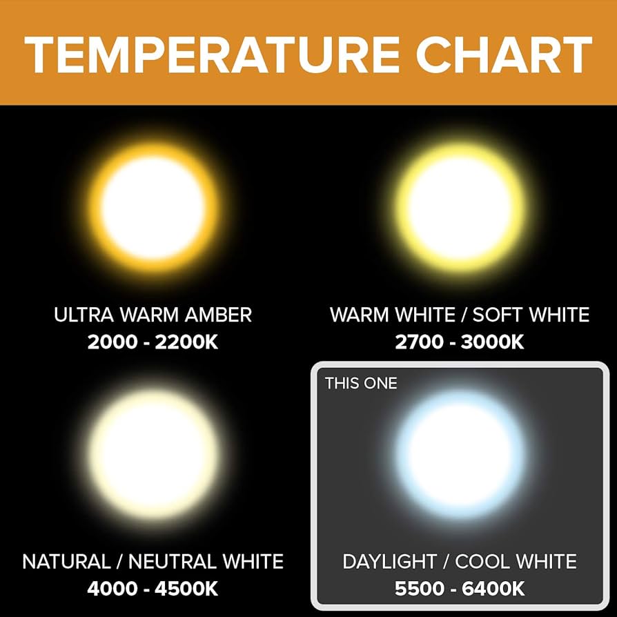 DC 12V Light Bulb ST64 Cool White 6000k 4W LED Edison Filament E26