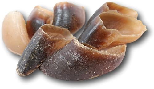 Miniatura 2 de Hooves de vaca natural para perros  Cantidad 25 Made in the USA Bulk Dog Dental Treats  Dog Chews Beef Hoof hecho en Estados Unidos