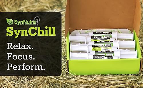 Miniatura 2 de SynChill - Gel calmante oral para caballo, suplemento 100% natural y nutricional, resultados probados en laboratorio, diseñado para la concentración