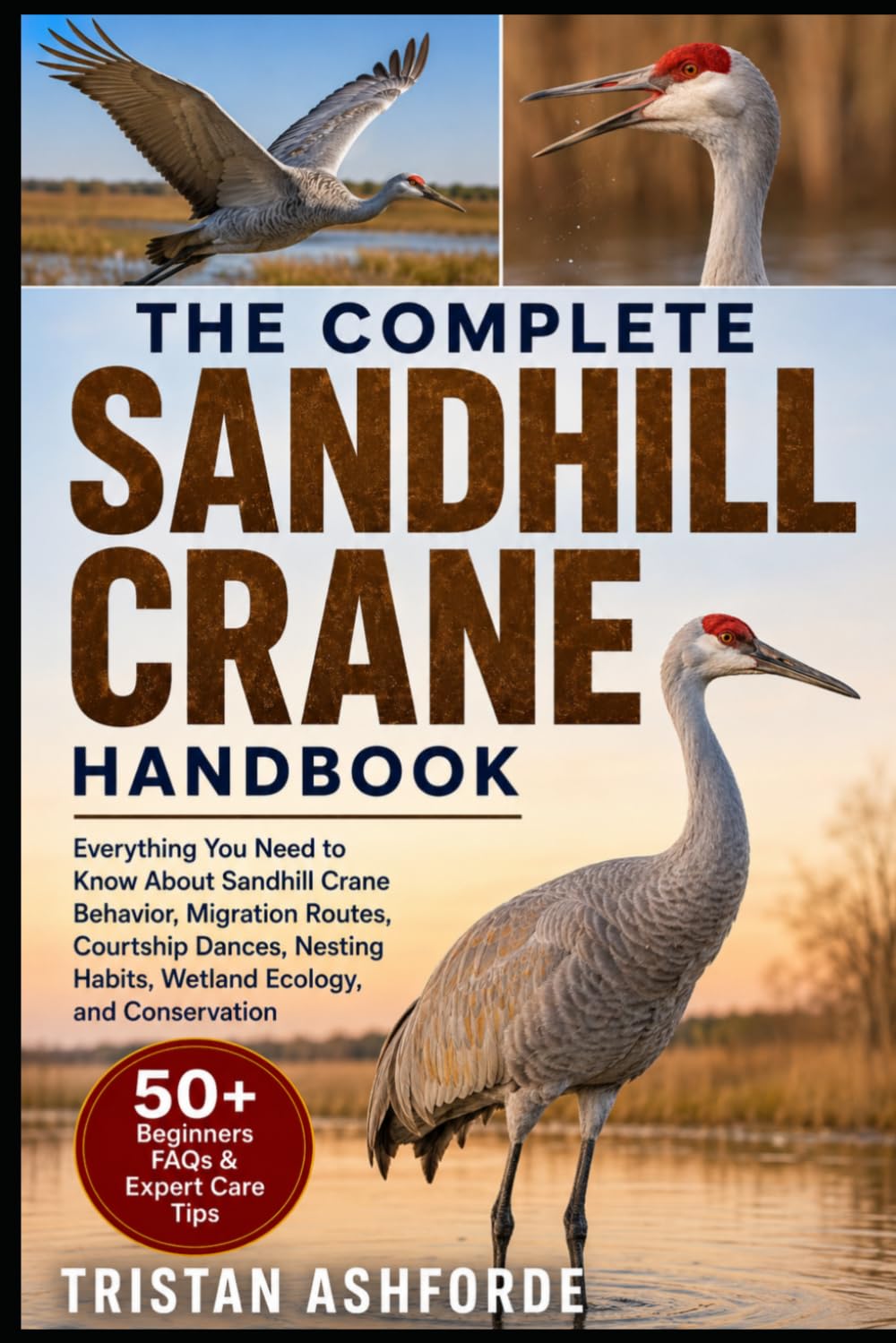 SANDHILL CRANE HANDBOOK: Everything You Need to Know About Sandhill Crane Behavior, Migration Routes, Courtship Dances, Nesting Habits, Wetland Ecology, and Conservation